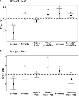 Whole-Plant Metabolic Allocation Under Water Stress